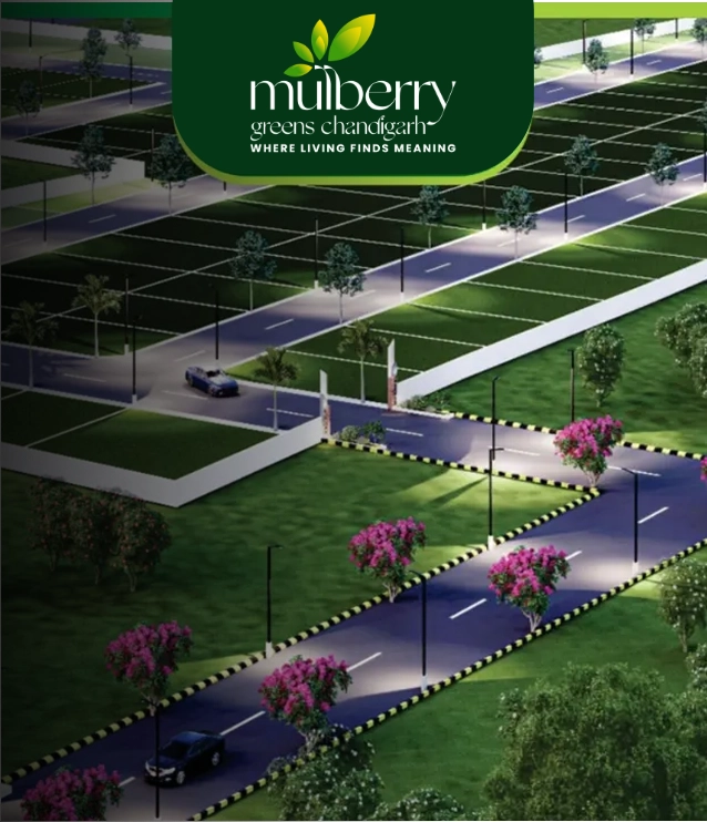 Mulberry Arvindam